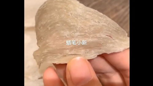 燕窝sc1什么意思