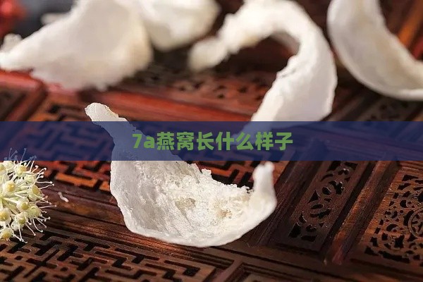 7a燕窝长什么样子