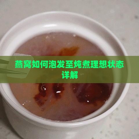 燕窝如何泡发至炖煮理想状态详解