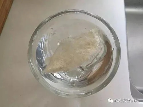 燕窝应该泡成什么样