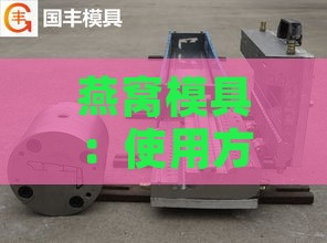 燕窝模具：使用方法与定型工厂，含模型工具一览