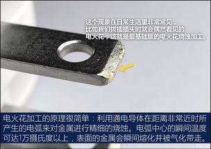 燕窝模具：使用方法与定型工厂，含模型工具一览