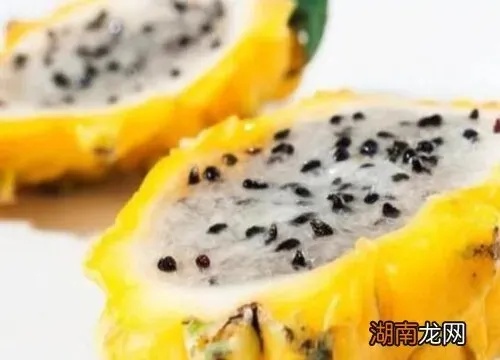 燕窝果种植地域指南：全球更佳种植地点与气候条件分析