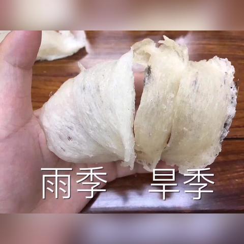 燕窝全解析：从选购到食用，深度了解燕窝的原材料与功效