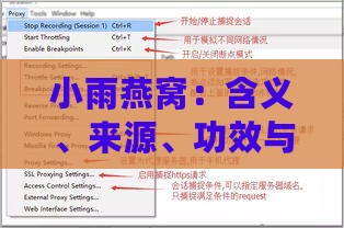 小雨燕窝：含义、来源、功效与常见疑问解析