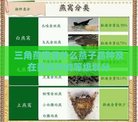 三角燕窝是什么燕子品种及在燕窝中的等级划分