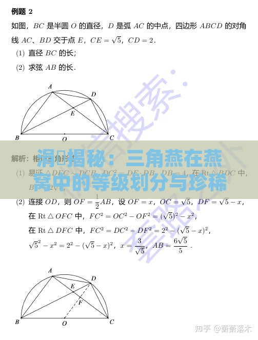 涓夎揭秘：三角燕在燕窝中的等级划分与珍稀程度