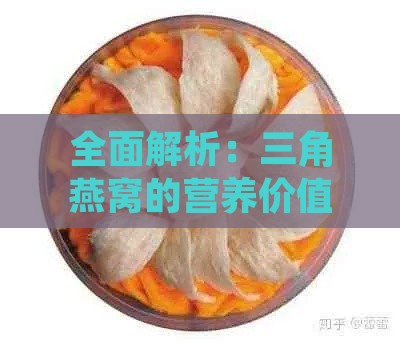 全面解析：三角燕窝的营养价值、功效与食用方法