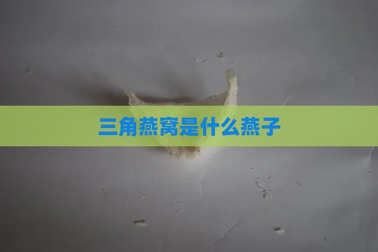 三角燕窝是什么燕子