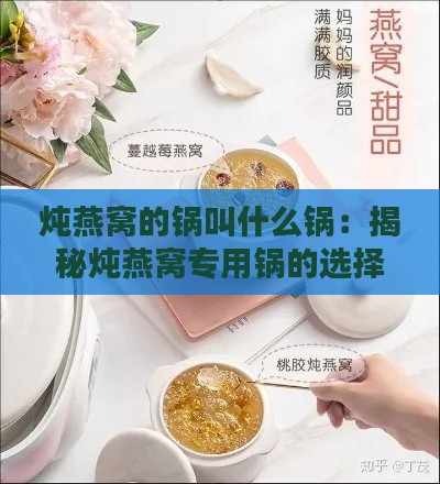 炖燕窝的锅叫什么锅：揭秘炖燕窝专用锅的选择