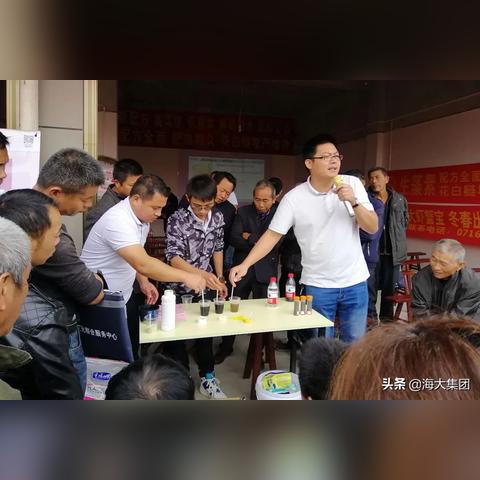 炖煮燕窝的正确状态与常见问题解析：如何判断燕窝炖煮是否成功