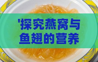 '探究燕窝与鱼翅的营养价值及保健功效'