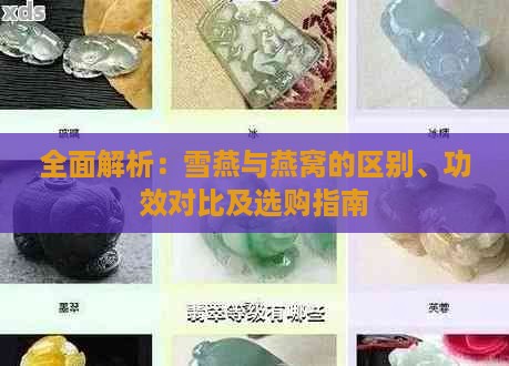 全面解析：雪燕与燕窝的区别、功效对比及选购指南