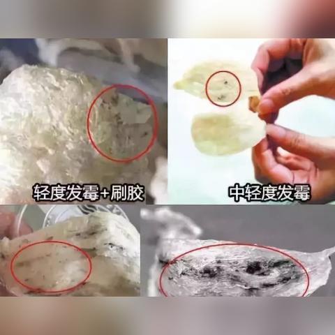 揭秘：燕窝表面出现斑点的原因探究