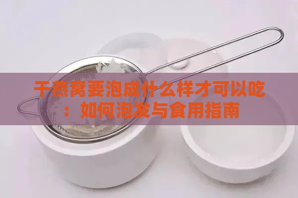 干燕窝要泡成什么样才可以吃：如何泡发与食用指南