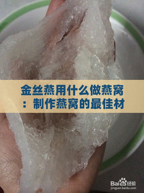 金丝燕用什么做燕窝：制作燕窝的更佳材料与过程解析