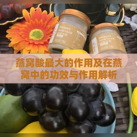 燕窝酸更大的作用及在燕窝中的功效与作用解析