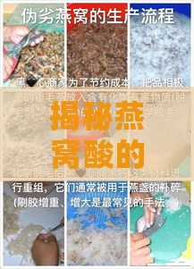 揭秘燕窝酸的学名及深入了解其营养成分与功效