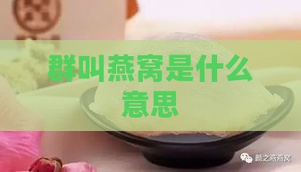 群叫燕窝是什么意思