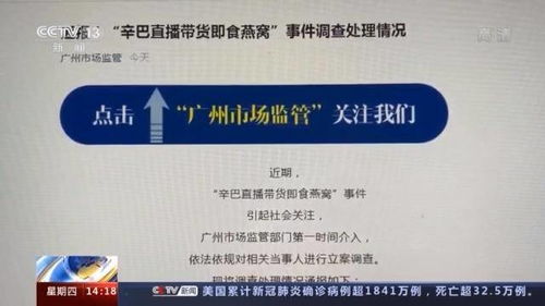 辛巴燕窝全解析：揭秘真相、调查结果与法律裁决