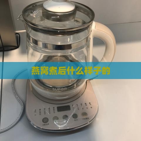 燕窝煮后什么样子的