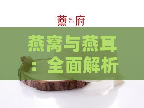 燕窝与燕耳：全面解析外观、成分、功效及食用方法的差异与对比