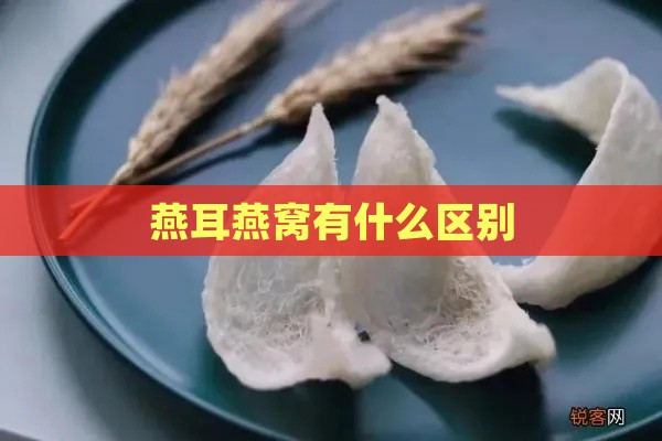 燕耳燕窝有什么区别