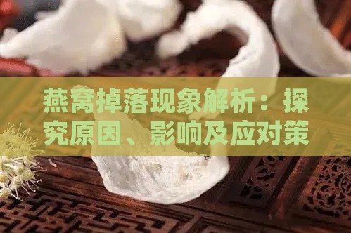 燕窝掉落现象解析：探究原因、影响及应对策略