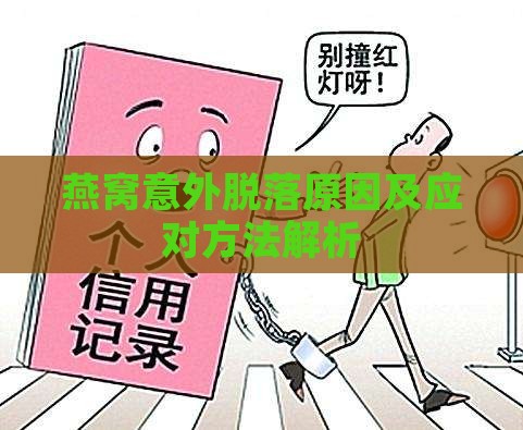 燕窝意外脱落原因及应对方法解析