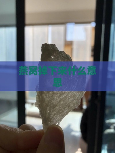 燕窝掉下来什么意思