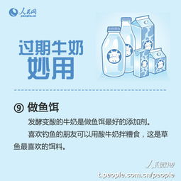 过期燕窝的处理方法与保存技巧：解决燕窝过期后的多种用途和保鲜疑问