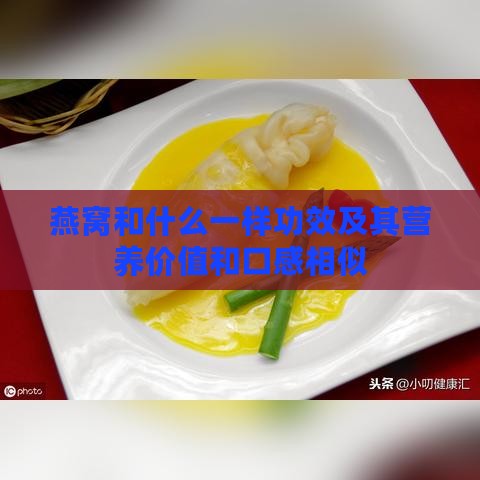 燕窝和什么一样功效及其营养价值和口感相似