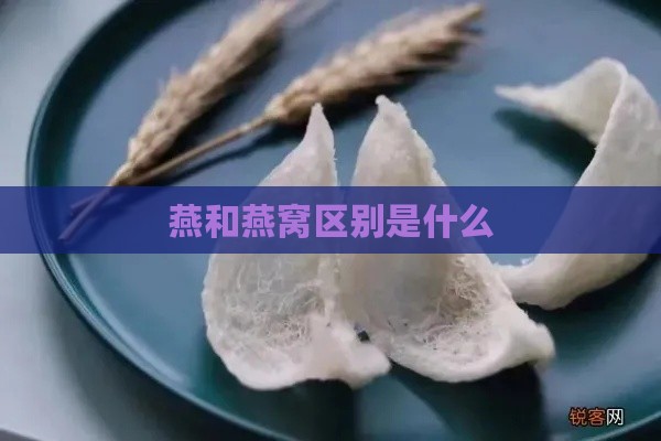 燕和燕窝区别是什么