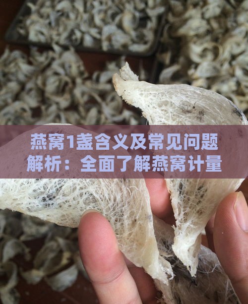 燕窝1盏含义及常见问题解析：全面了解燕窝计量单位与食用指南