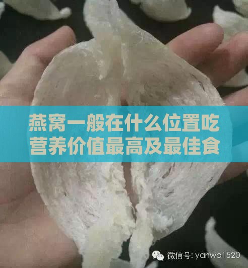 燕窝一般在什么位置吃营养价值更高及更佳食用位置探讨