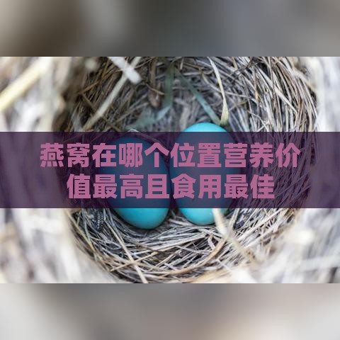 燕窝在哪个位置营养价值更高且食用更佳