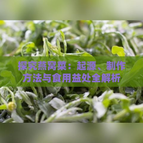 探究燕窝菜：起源、制作方法与食用益处全解析