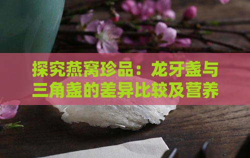 探究燕窝珍品：龙牙盏与三角盏的差异比较及营养价值解析