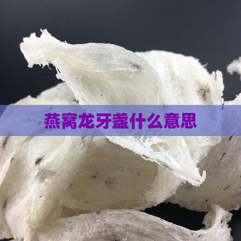 燕窝龙牙盏什么意思