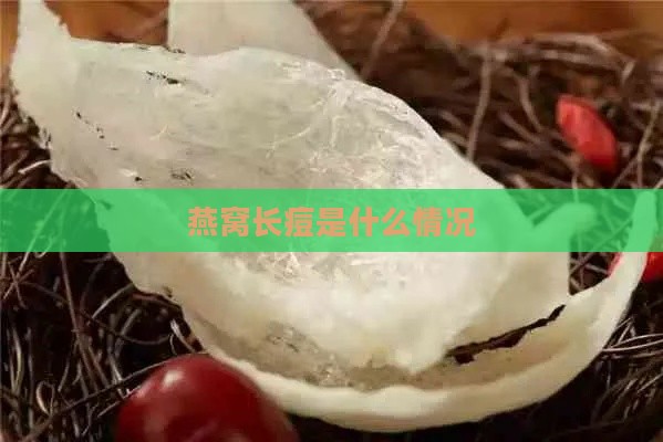 燕窝长痘是什么情况