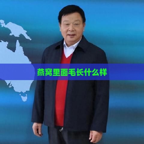 燕窝里面毛长什么样