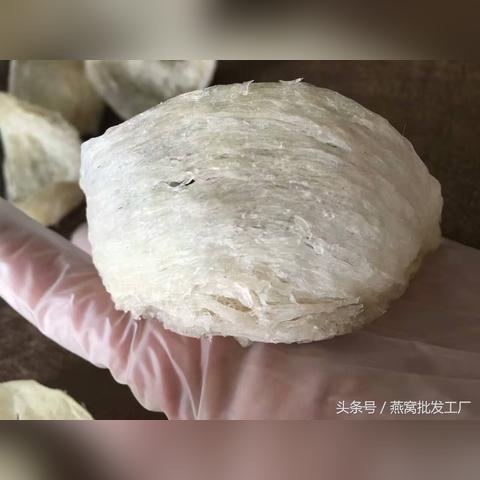 泡燕窝有水有什么用：揭秘燕窝泡发技巧与营养保留秘诀