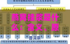 燕窝挂浆是什么：含义、原理及具体内容解析