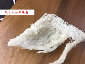 燕窝扫浆是什么意思