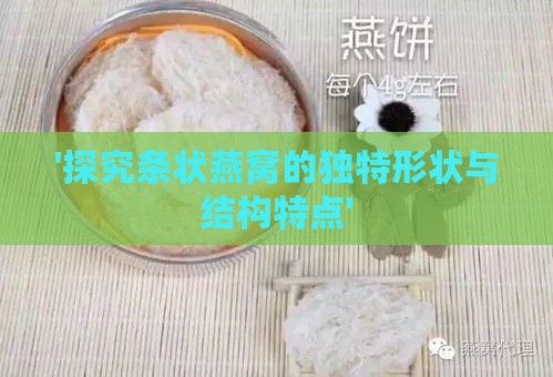 '探究条状燕窝的独特形状与结构特点'