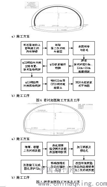 '探究条状燕窝的独特形状与结构特点'