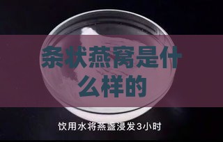 条状燕窝是什么样的