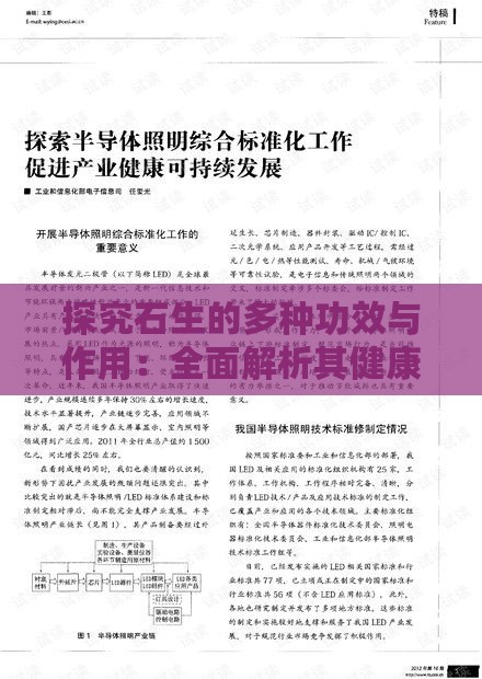 探究石生的多种功效与作用：全面解析其健康益处及实用指南