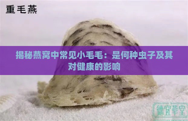 揭秘燕窝中常见小毛毛：是何种虫子及其对健康的影响