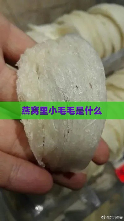 燕窝里小毛毛是什么